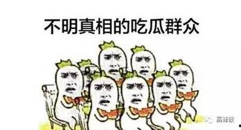 一个吃瓜群众的自我修养,如何成为理智的围观者